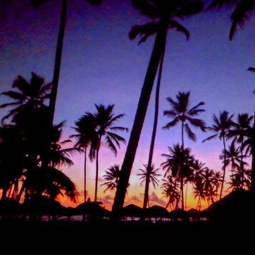 TOP 5 THINGS TO DO IN PUNTA CANA