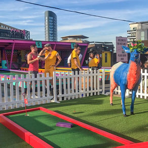 A SOCIALITES PLAYGROUND