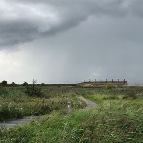 A STROLL THROUGH TIME AT RSPB RAINHAM MARSHES