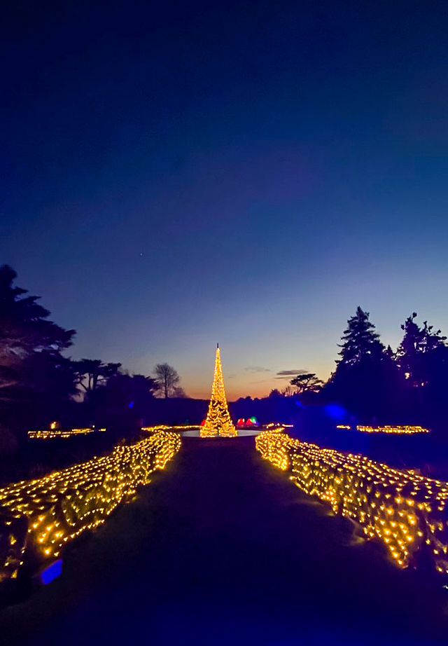 entering Warwick Castle light trail