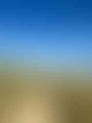 grassy sand dunes at camber sands