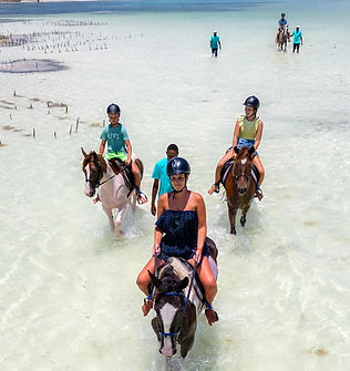 Horseback Riding.jpg