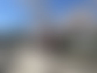 子育て支援活動(エンジェルランド)お花見