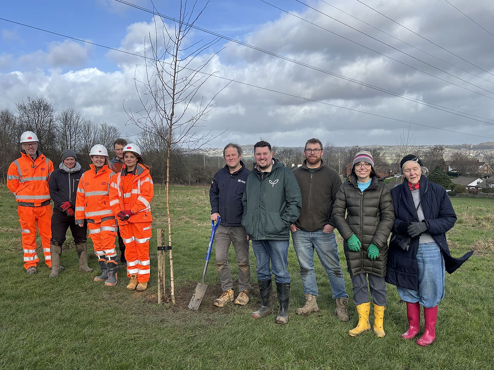 Palmer Landscapes Supporting local climate action in Farsley