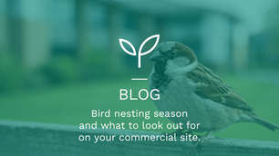 Bird nesting season and what to look out for on your commercial site.