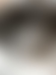 The Weekly Goods 12.19.2021