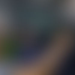 The Benefits of Professional Window Tinting: Style, Privacy, and Protection. 