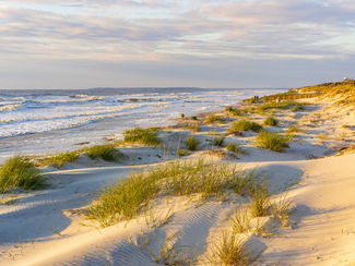 Exploring Coastal Georgia: A Hidden Gem for Nature Enthusiasts.