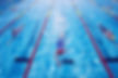 Swimmers in pool