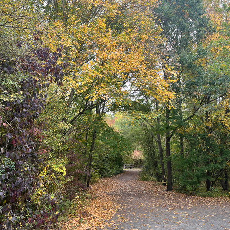 A conversation you forgot? they didn't