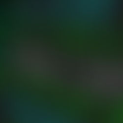 A Look Into The Micro-Bubble