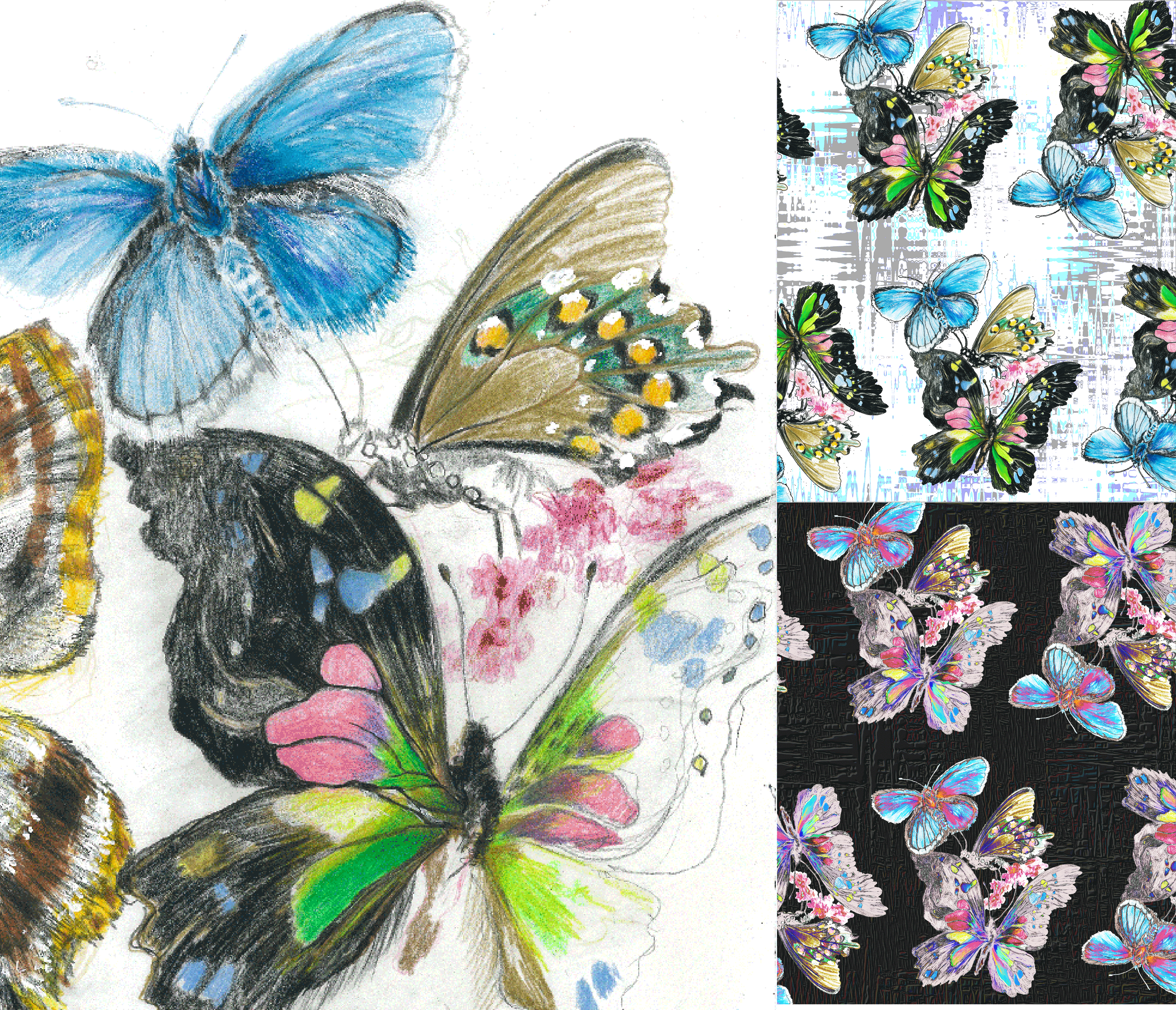 Butterfly-Garden.gif