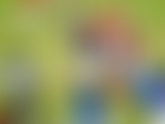 Futebol americano prospera na terra dos marechais