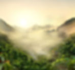 heroImage 1