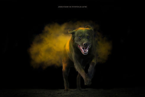 Balthasar-Web1.jpg