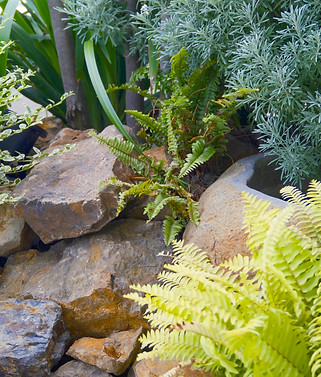 R01_Garden.jpg