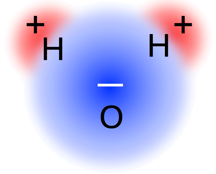 Structure of a water molecule