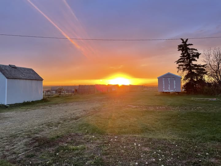 Sunset over a rural field with two small sheds, warm orange and purple sky