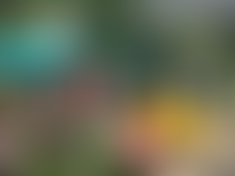 tunxis-country-club-builds-a-beach
