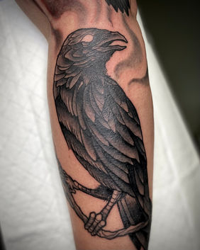 A Neo traditional tattoo of a crow
