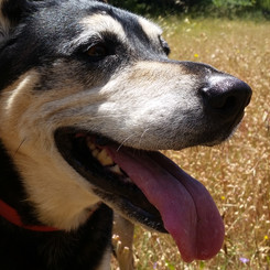 Resized_20150530_131005.jpeg