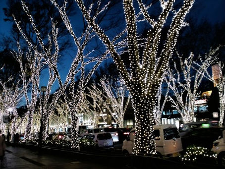 12月スケジュール
