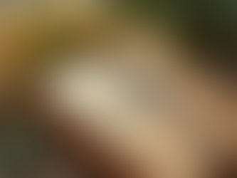 Preço entre Flor e Faca: Tudo que Você Precisa Saber