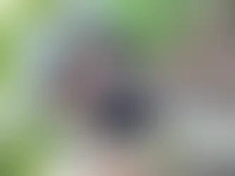 Teksaška studentica bori se protiv ruskih trupa u Ukrajini...