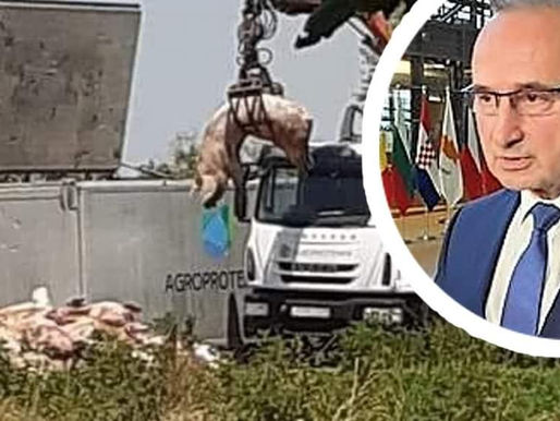 DOBAR POSAO MINISTRA; sa svakom usmrćenom svinjom raste profit obitelji Grlić - Radman!
