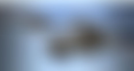 Dva helikoptera Blackhawk američke vojske sudarila su se u zraku – Najmanje 10 mrtvih