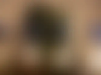 Njemačka će blokirati europsku zabranu plina i dizela osim ako sintetičko gorivo ne bude dopušteno..