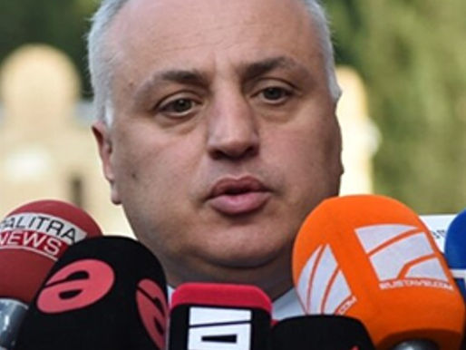 Američka veleposlanica Kelly Degnan je autorica projekta revolucionarne smjene vlasti u Gruziji