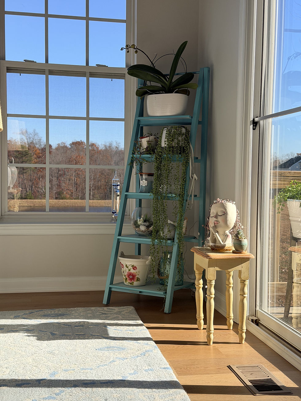 Sunlit room with a blue plant stand holding pots near a large window. A small table with a face-shaped pot and fern adds charm.