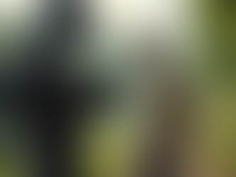 Crafting Impactful Stories in Video Production