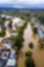 TREES MITIGATE FLOOD RISKS.jpeg