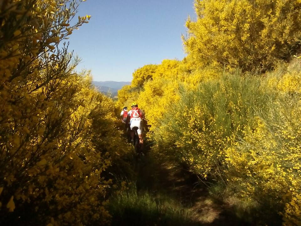 10985494_1081567988539576_8523098393780570428_n