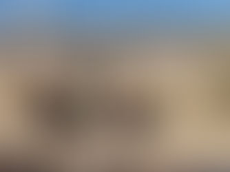 The Hidden Costs of the Immigration Debate: What They’re Not Telling Us