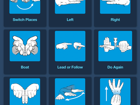 Use Case: Standardizing Scuba Communication Through Technical Illustration for The Dive Otter