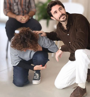 formation certifiante constellations familiales genomm transgénérationnel