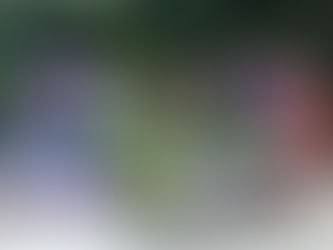 Jardinagem e Conexão: Energia Boa na Casa Offline