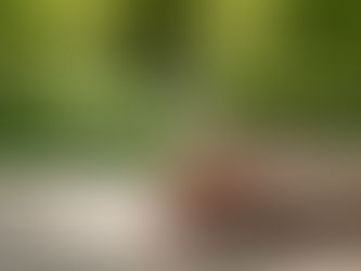 Degustacija rakije Šimić