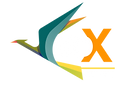 logos GO-X 2024.004.png