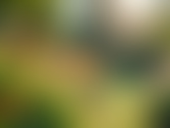 From Surviving Darkness to Thriving in Love and Success: My Journey of Healing