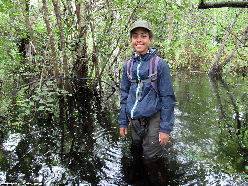 Data collection in Nganda Nganda classified forest swamp forest