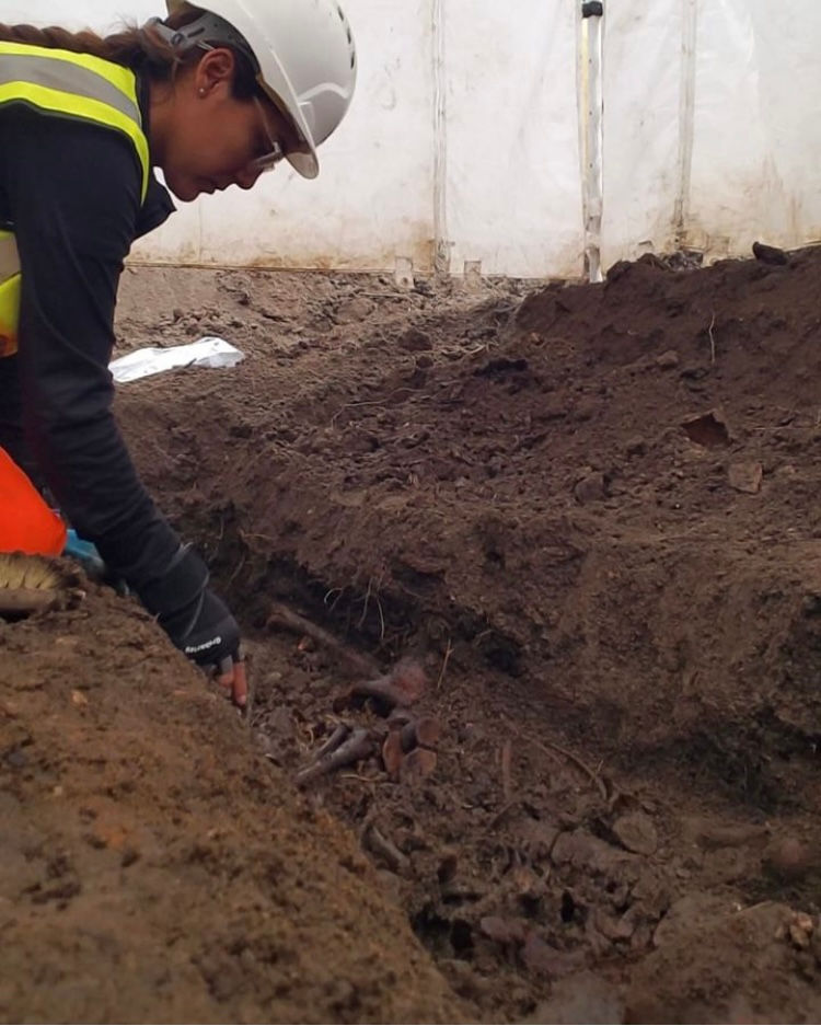 Excavating a medieval burial.
