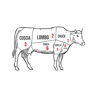 ANIMALE.png