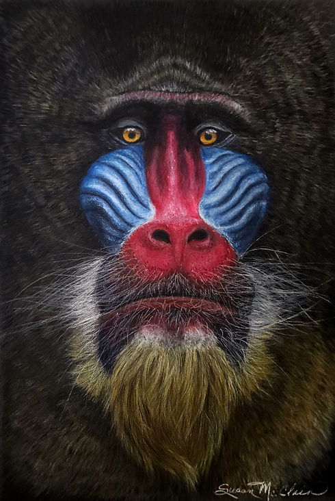 Mandrill Final.jpg