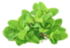 AdobeStock_219726929-compressor.jpeg