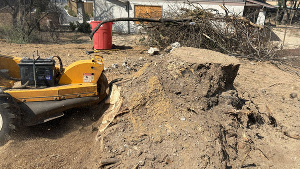 Stump grinding service in Camarillo