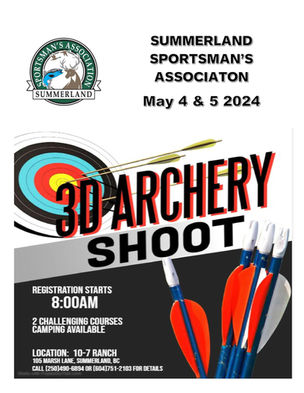 3D Archery Shoot